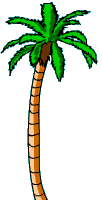 Palm tree