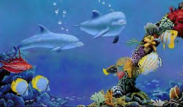 Dolphins