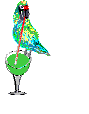 Parrot
